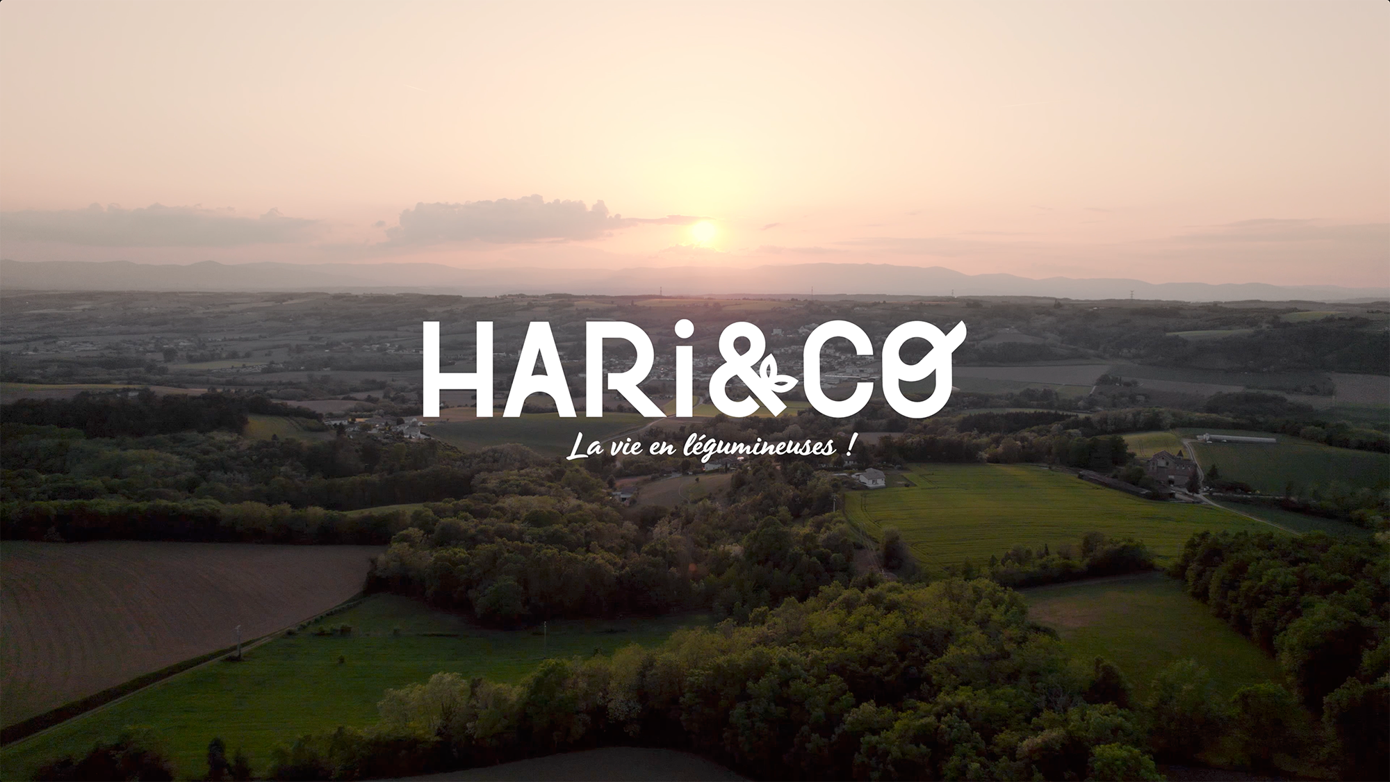 vignette-harietco v.2